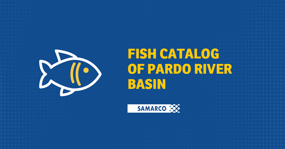 Fish catalog od pardo river basin